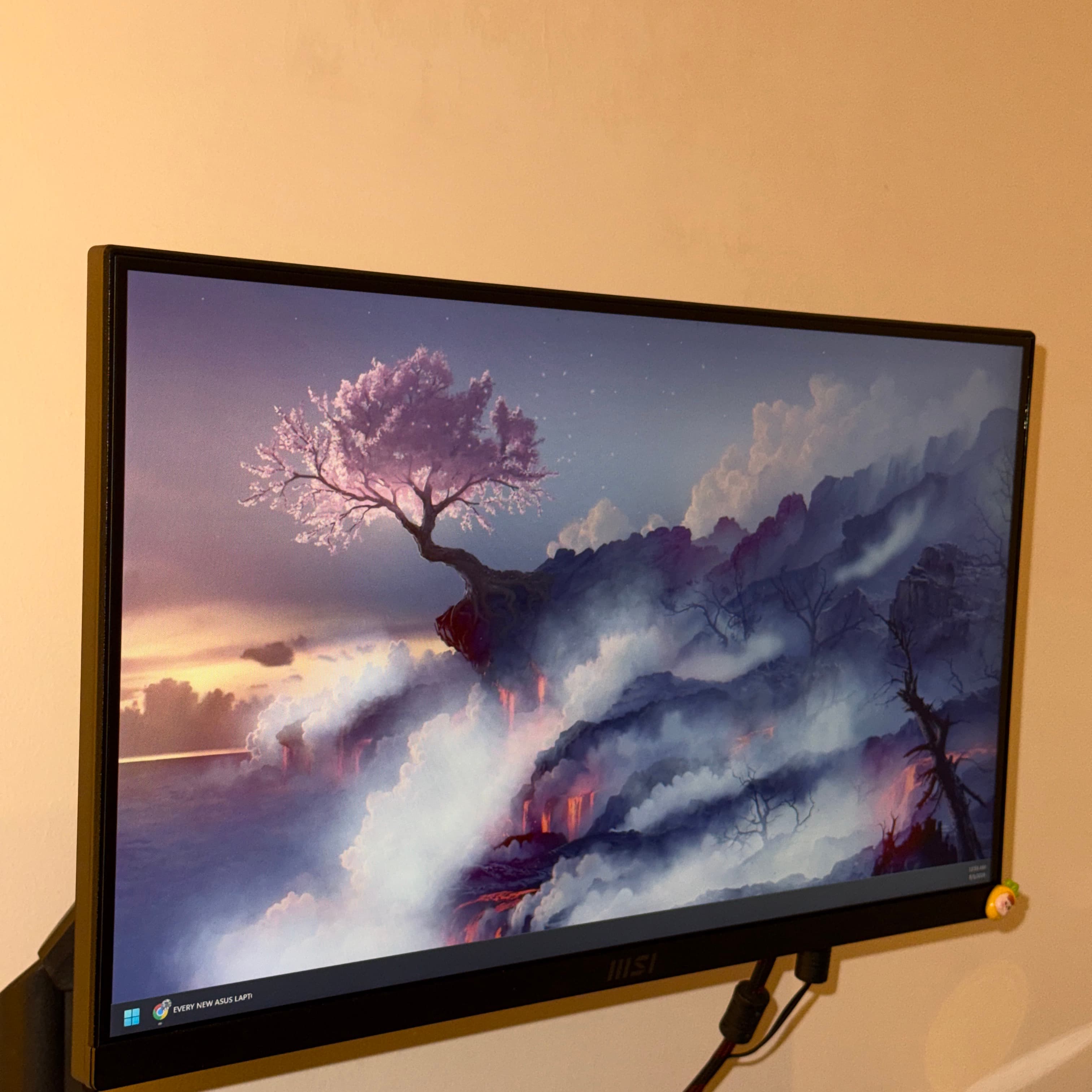 MSI - 22 inch monitor
